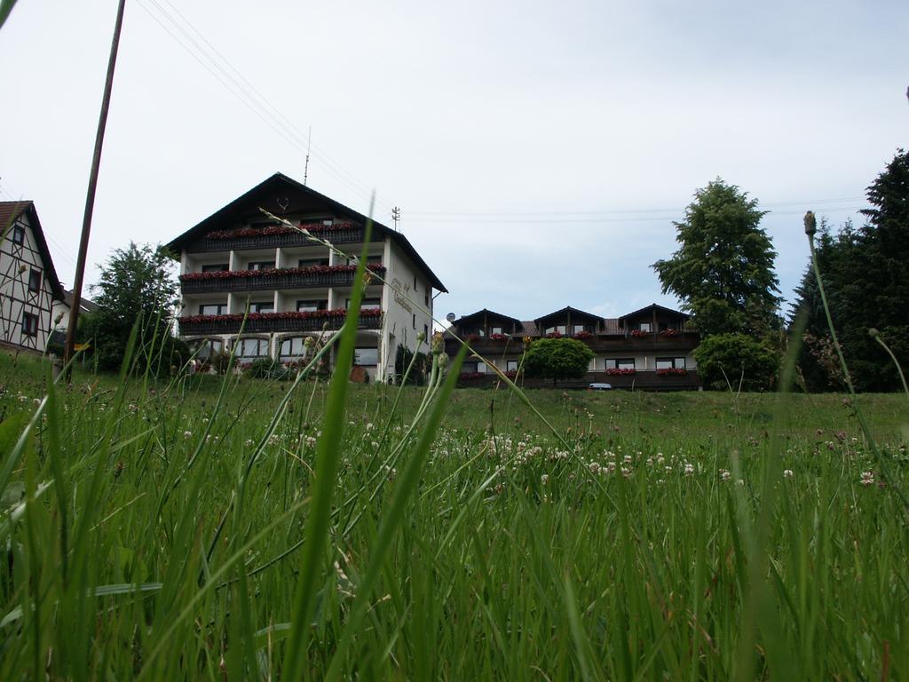 Landgasthof Waldfrieden Hotel Wildensee Luaran gambar