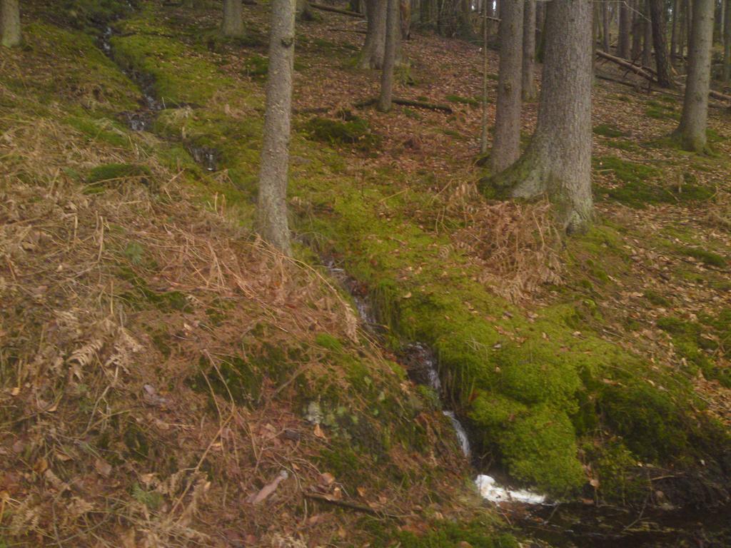 Landgasthof Waldfrieden Hotel Wildensee Luaran gambar